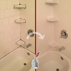 Image of a Tile Shower Mold Removal in Chester