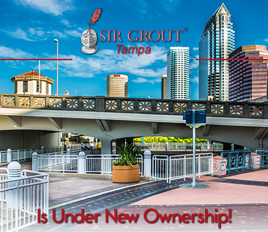 Picture of Tampa's Skyline - Sir Grout Tampa is Under New Ownership
